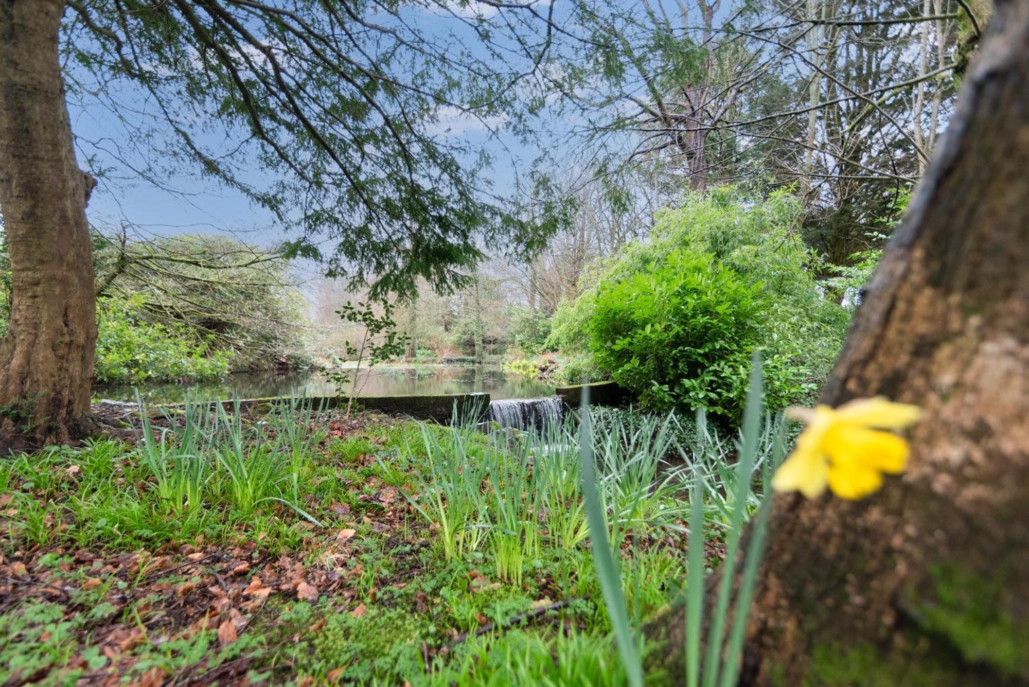 Goytre Hall Abergavenny Exteriér fotografie